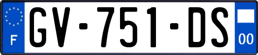 GV-751-DS