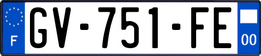 GV-751-FE