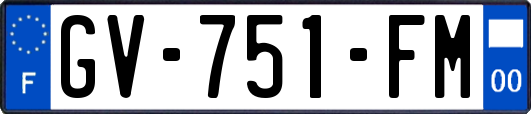 GV-751-FM
