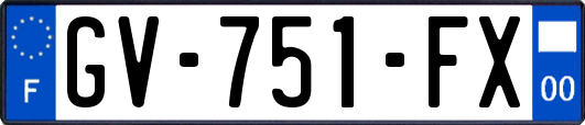 GV-751-FX