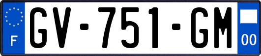 GV-751-GM