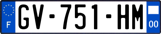 GV-751-HM