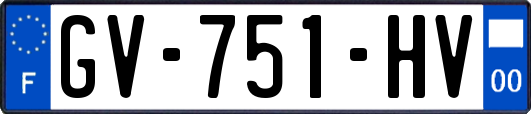 GV-751-HV