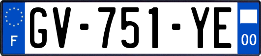GV-751-YE