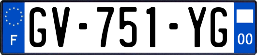 GV-751-YG