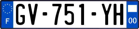 GV-751-YH