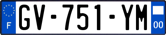 GV-751-YM