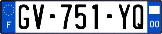 GV-751-YQ