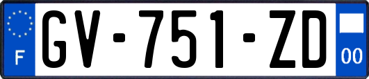 GV-751-ZD