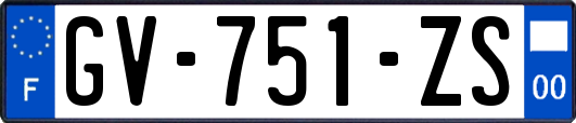 GV-751-ZS