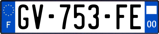 GV-753-FE