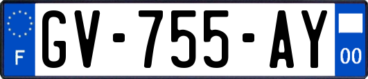 GV-755-AY