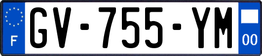 GV-755-YM