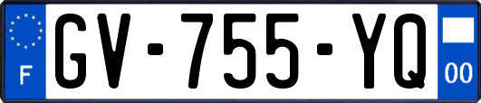 GV-755-YQ