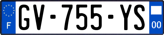 GV-755-YS