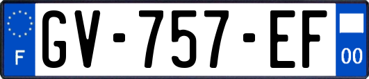 GV-757-EF