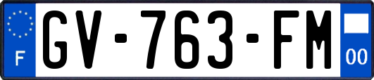 GV-763-FM