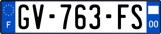GV-763-FS
