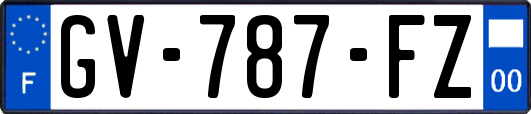 GV-787-FZ