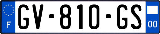 GV-810-GS