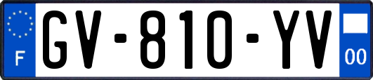 GV-810-YV
