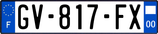 GV-817-FX