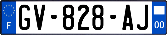 GV-828-AJ
