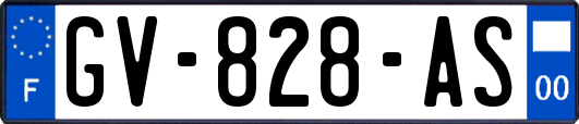 GV-828-AS