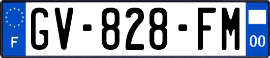 GV-828-FM