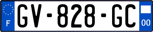 GV-828-GC