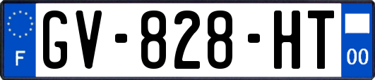 GV-828-HT