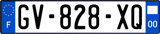 GV-828-XQ