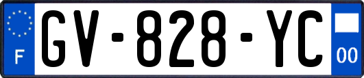 GV-828-YC