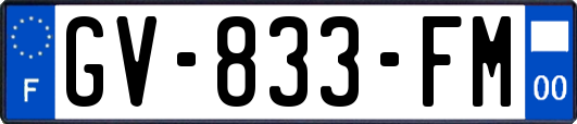 GV-833-FM