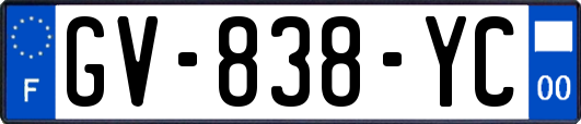 GV-838-YC