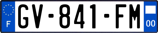 GV-841-FM