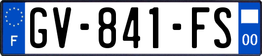 GV-841-FS