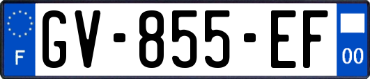 GV-855-EF