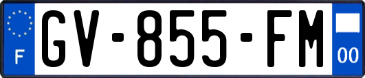 GV-855-FM