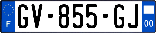 GV-855-GJ