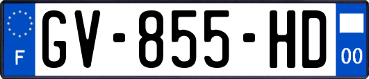 GV-855-HD