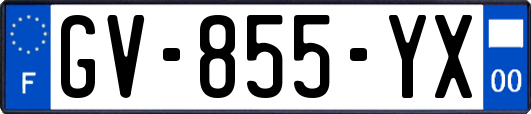 GV-855-YX
