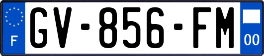 GV-856-FM