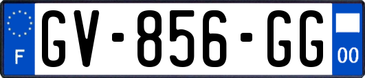 GV-856-GG