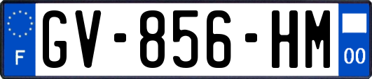 GV-856-HM