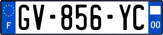 GV-856-YC