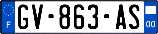 GV-863-AS
