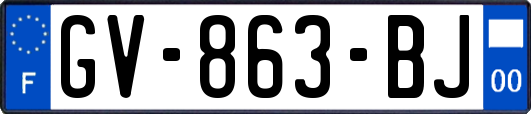 GV-863-BJ