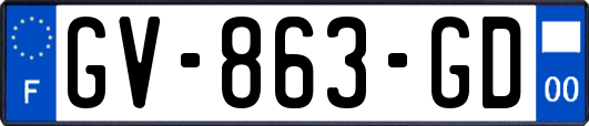 GV-863-GD