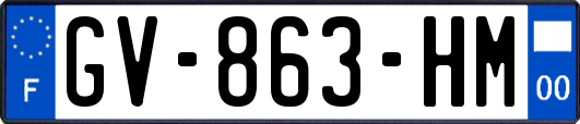 GV-863-HM